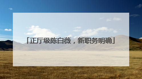 正厅级陈白薇，新职务明确