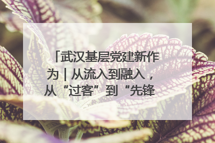 武汉基层党建新作为｜从流入到融入，从“过客”到“先锋” 武汉为流动党员筑起温暖之家