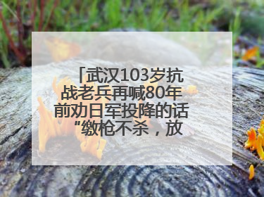 武汉103岁抗战老兵再喊80年前劝日军投降的话 “缴枪不杀，放你回家”