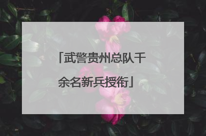 武警贵州总队千余名新兵授衔