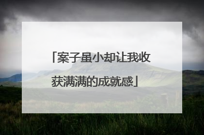 案子虽小却让我收获满满的成就感