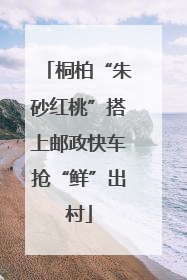 桐柏“朱砂红桃”搭上邮政快车抢“鲜”出村