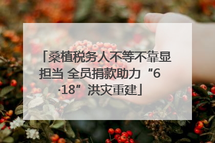 桑植税务人不等不靠显担当 全员捐款助力“6·18”洪灾重建