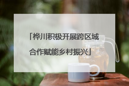 桦川积极开展跨区域合作赋能乡村振兴