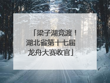 梁子湖竞渡！湖北省第十七届龙舟大赛收官