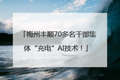 梅州丰顺70多名干部集体“充电”AI技术！