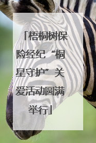 梧桐树保险经纪“桐星守护”关爱活动圆满举行