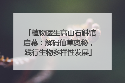 植物医生高山石斛馆启幕：解码仙草奥秘，践行生物多样性发展