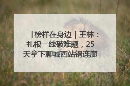 榜样在身边｜王林：扎根一线破难题，25天拿下聊城西站钢连廊“硬核”工程
