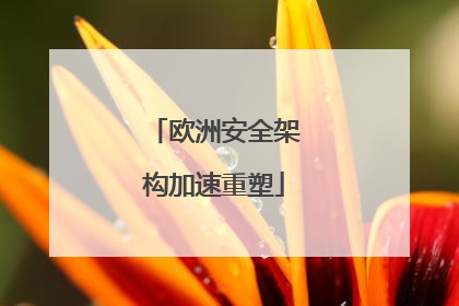 欧洲安全架构加速重塑