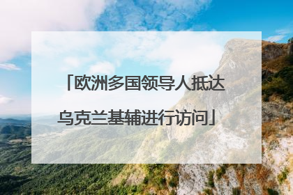 欧洲多国领导人抵达乌克兰基辅进行访问