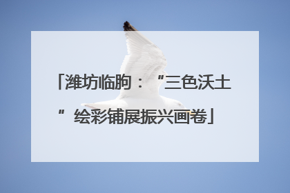 潍坊临朐：“三色沃土”绘彩铺展振兴画卷