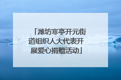 潍坊寒亭开元街道组织人大代表开展爱心捐赠活动