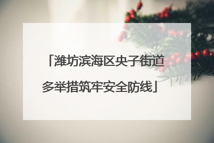潍坊滨海区央子街道多举措筑牢安全防线