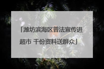 潍坊滨海区普法宣传进超市 千份资料送群众