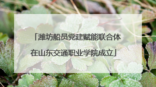 潍坊船员党建赋能联合体在山东交通职业学院成立