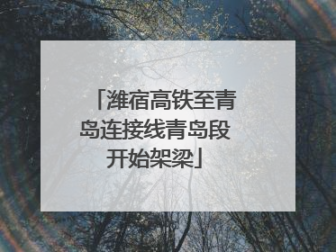 潍宿高铁至青岛连接线青岛段开始架梁