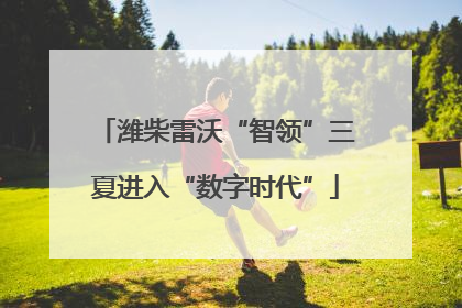 潍柴雷沃“智领”三夏进入“数字时代”