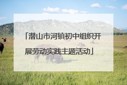 潜山市河镇初中组织开展劳动实践主题活动