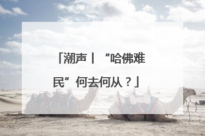 潮声丨“哈佛难民”何去何从？