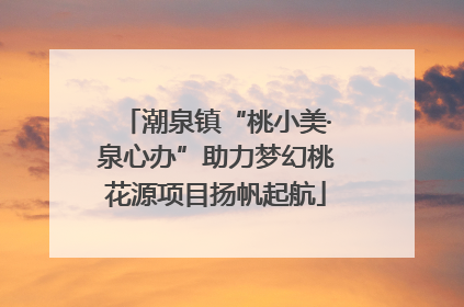 潮泉镇“桃小美·泉心办”助力梦幻桃花源项目扬帆起航