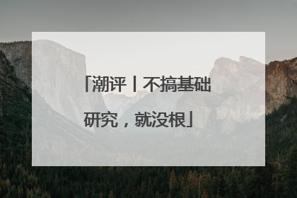 潮评丨不搞基础研究，就没根