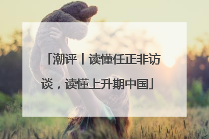 潮评丨读懂任正非访谈，读懂上升期中国