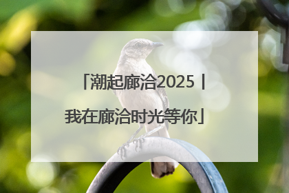 潮起廊洽2025丨我在廊洽时光等你