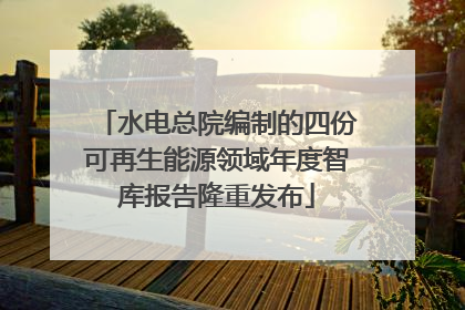 水电总院编制的四份可再生能源领域年度智库报告隆重发布