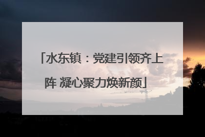 水东镇：党建引领齐上阵 凝心聚力焕新颜