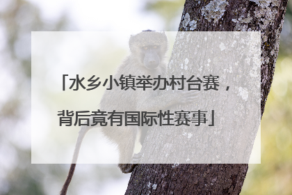 水乡小镇举办村台赛，背后竟有国际性赛事