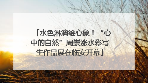 水色淋漓绘心象！“心中的自然”周崇涨水彩写生作品展在临安开幕