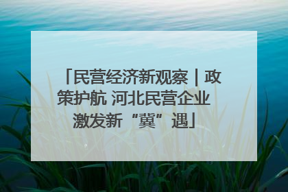 民营经济新观察｜政策护航 河北民营企业激发新“冀”遇