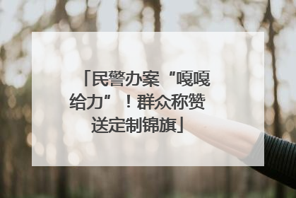 民警办案“嘎嘎给力”！群众称赞送定制锦旗