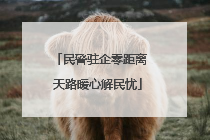 民警驻企零距离 天路暖心解民忧