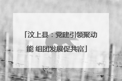 汶上县：党建引领聚动能 组团发展促共富