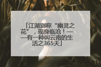 江湖别称“幽灵之花”，现身临沧！——有一种叫云南的生活之365天