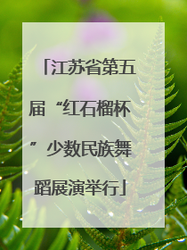 江苏省第五届“红石榴杯”少数民族舞蹈展演举行