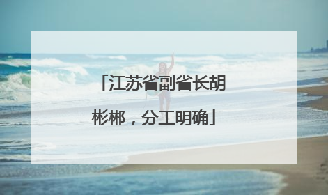 江苏省副省长胡彬郴，分工明确