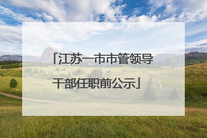 江苏一市市管领导干部任职前公示