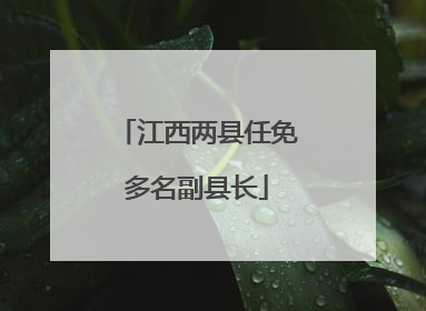 江西两县任免多名副县长