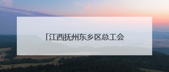 江西抚州东乡区总工会开展“六一”普法宣传暨传统文化体验活动