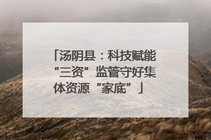 汤阴县：科技赋能“三资”监管守好集体资源“家底”