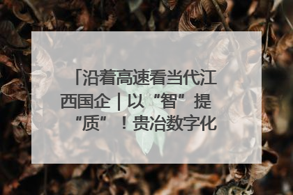 沿着高速看当代江西国企｜以“智”提“质”！贵冶数字化转型迈出新步伐