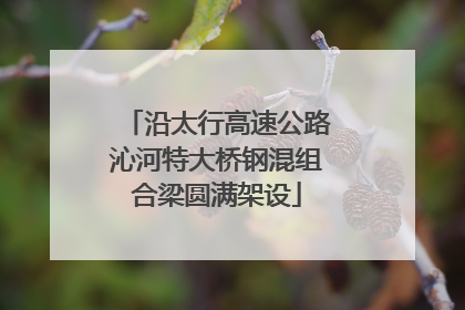 沿太行高速公路沁河特大桥钢混组合梁圆满架设