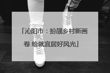 沁阳市：扮靓乡村新画卷 绘就宜居好风光