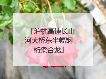 沪杭高速长山河大桥东半幅钢桁梁合龙