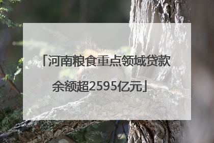 河南粮食重点领域贷款余额超2595亿元