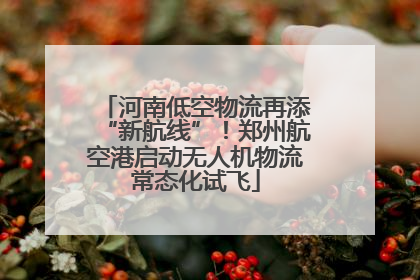 河南低空物流再添“新航线”！郑州航空港启动无人机物流常态化试飞