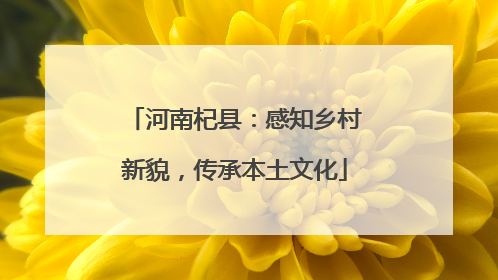 河南杞县：感知乡村新貌，传承本土文化